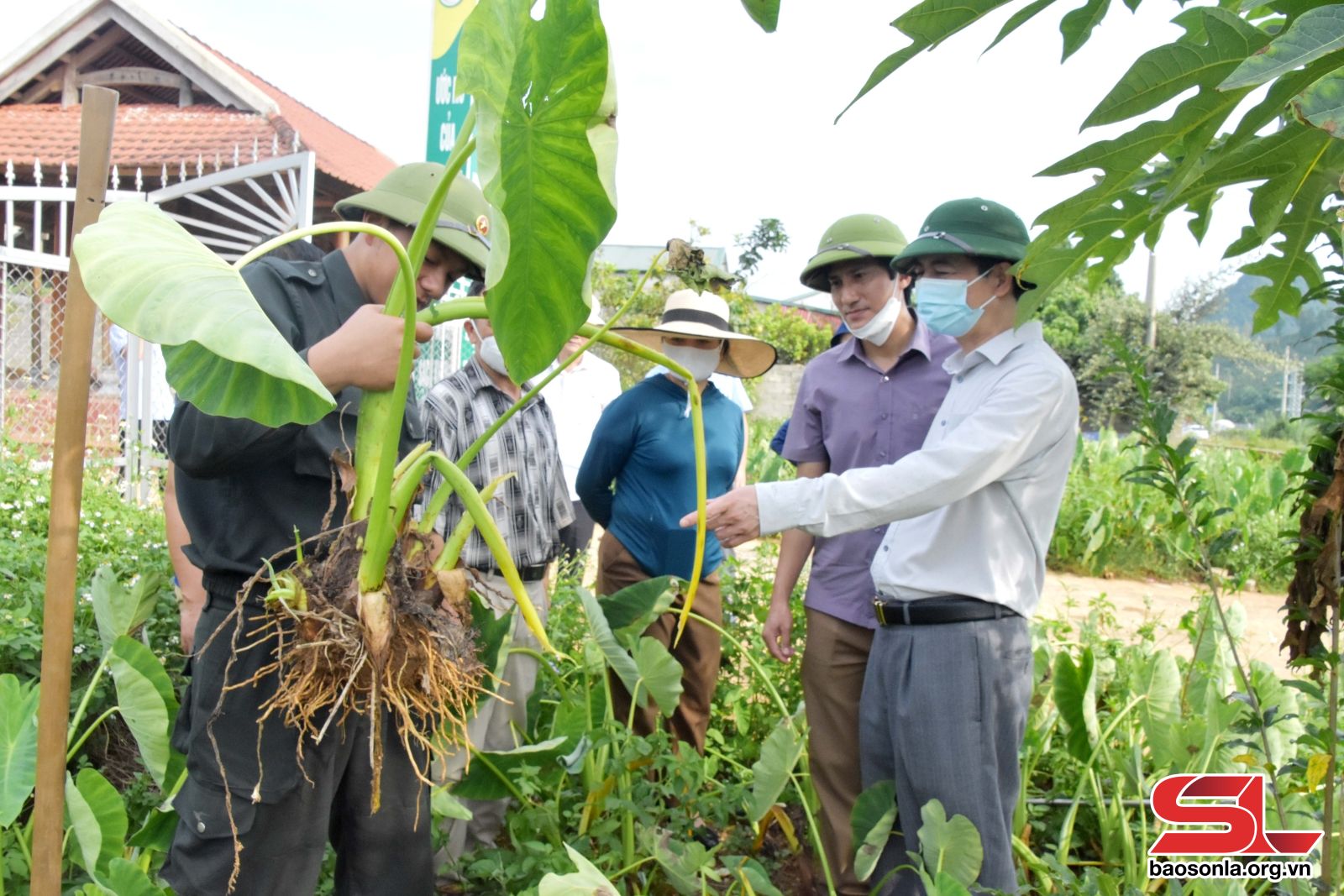 Sơn La: Thuận Châu nâng cao giá trị sản phẩm nông sản địa phương