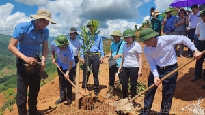 Điện Biên:Quy hoạch các vùng chuyên canh nông nghiệp