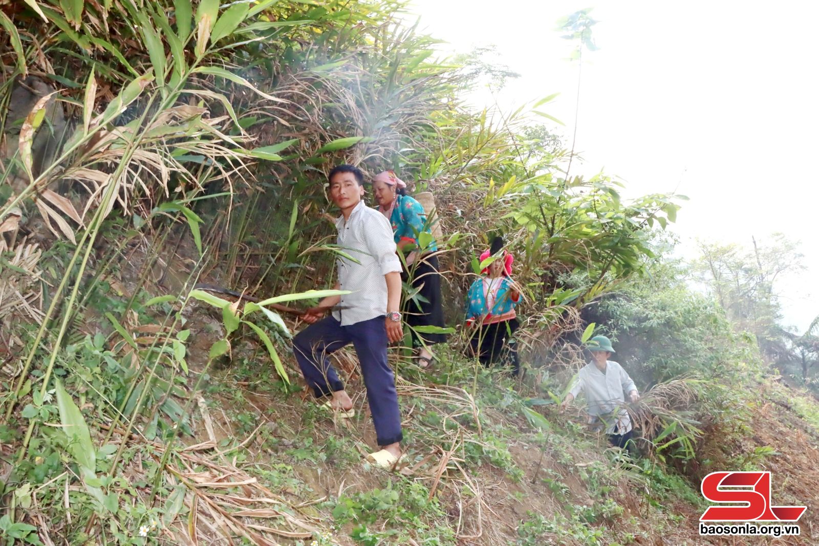 Sơn La: Thuận Châu nâng cao giá trị sản phẩm nông sản địa phương