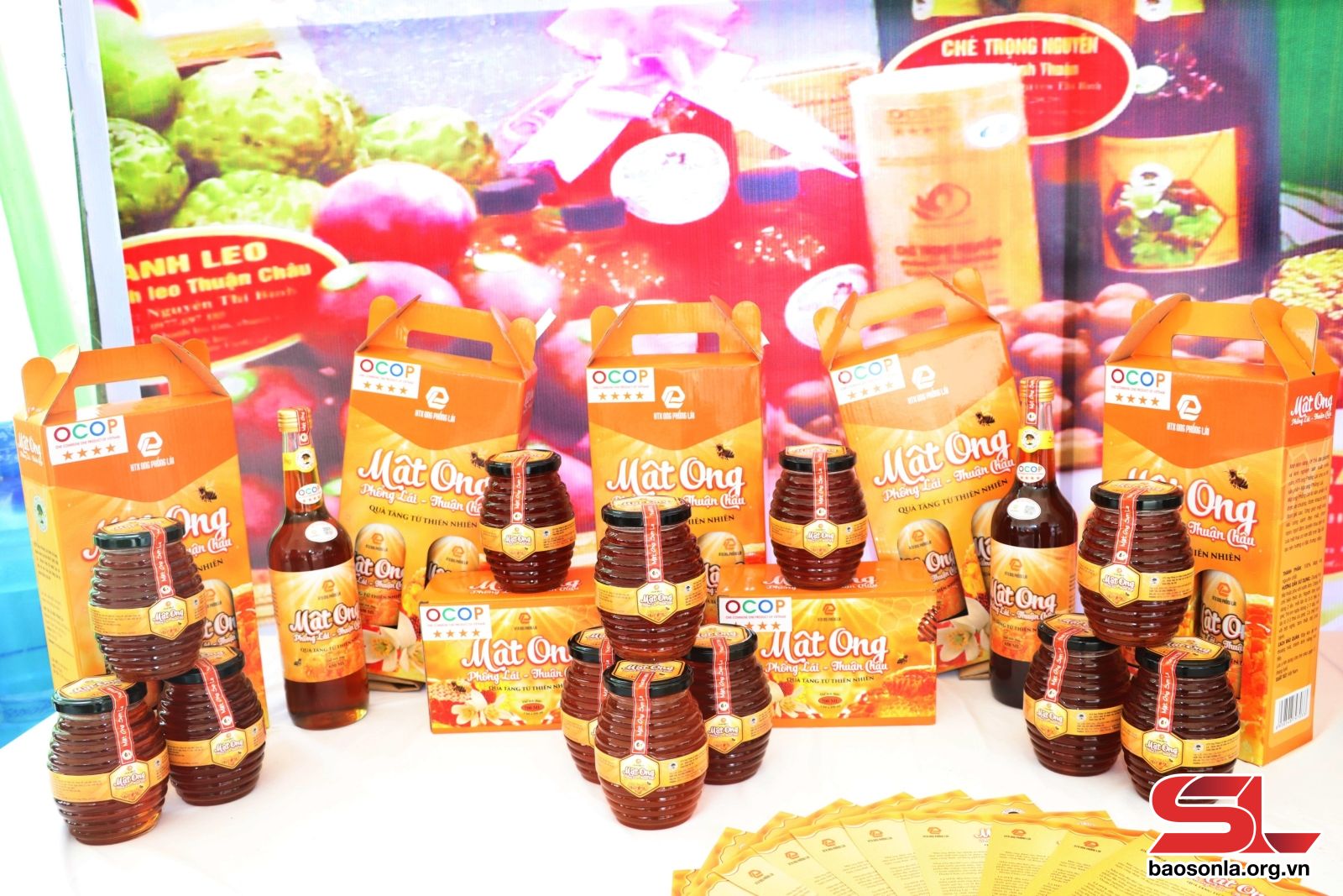 Sơn La: Thuận Châu nâng cao giá trị sản phẩm nông sản địa phương