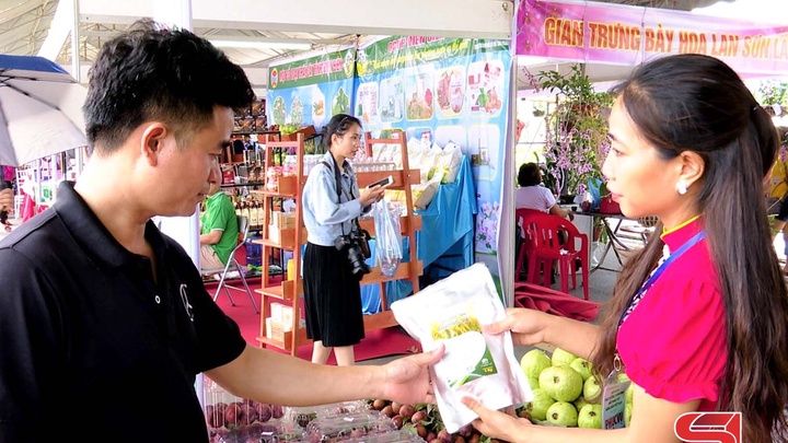 Sốp Cộp xây dựng sản phẩm OCOP - Sốp Cộp xây dựng sản phẩm OCOP -