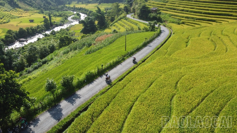 Lào Gai: Giải ngân hơn 226 tỷ đồng phát triển kinh tế vùng đồng bào dân tộc thiểu số và miền núi Lào Gai: Giải ngân hơn 226 tỷ đồng phát triển kinh tế vùng đồng bào dân tộc thiểu số và miền núi