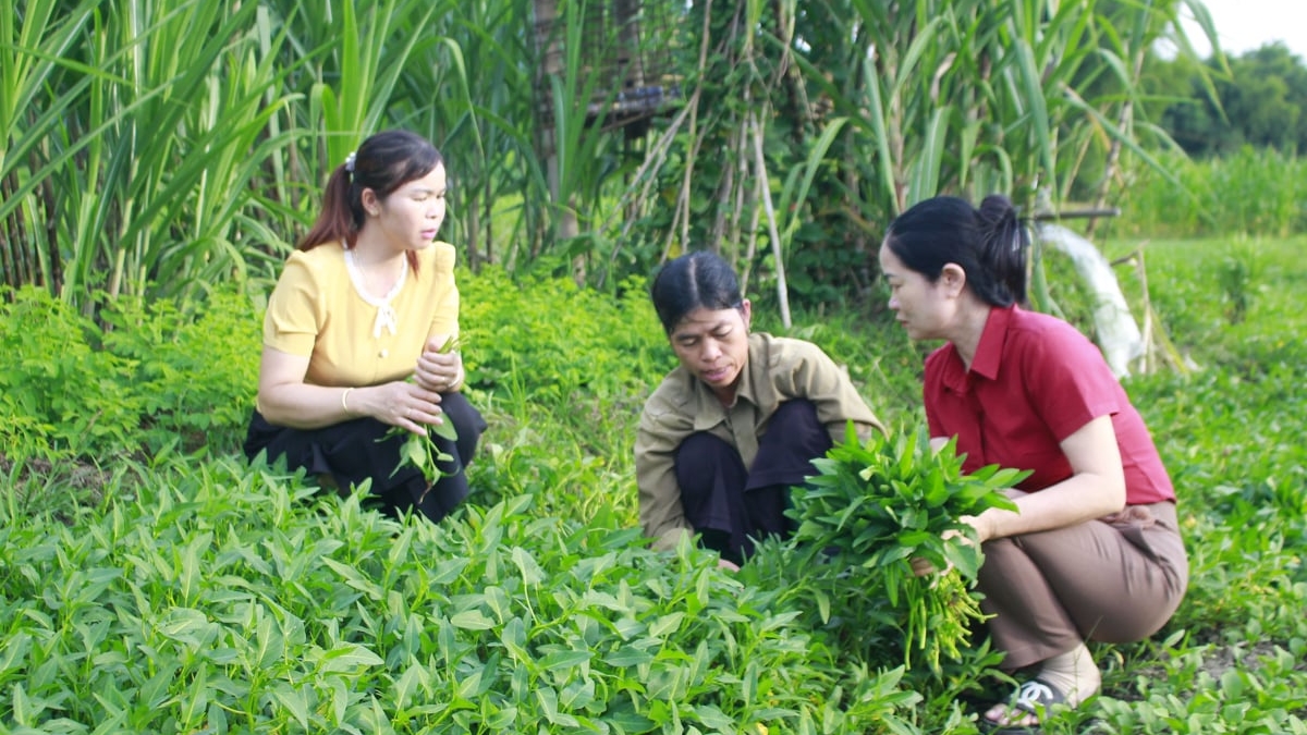 Lai Châu: Đồng hành cùng hội viên phụ nữ vượt khó, làm giàu