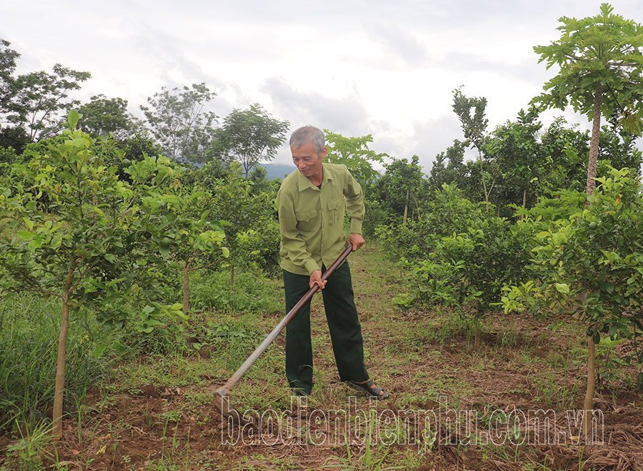 Điện Biên: Vượt lên nỗi đau