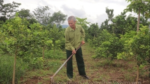 Điện Biên: Vượt lên nỗi đau