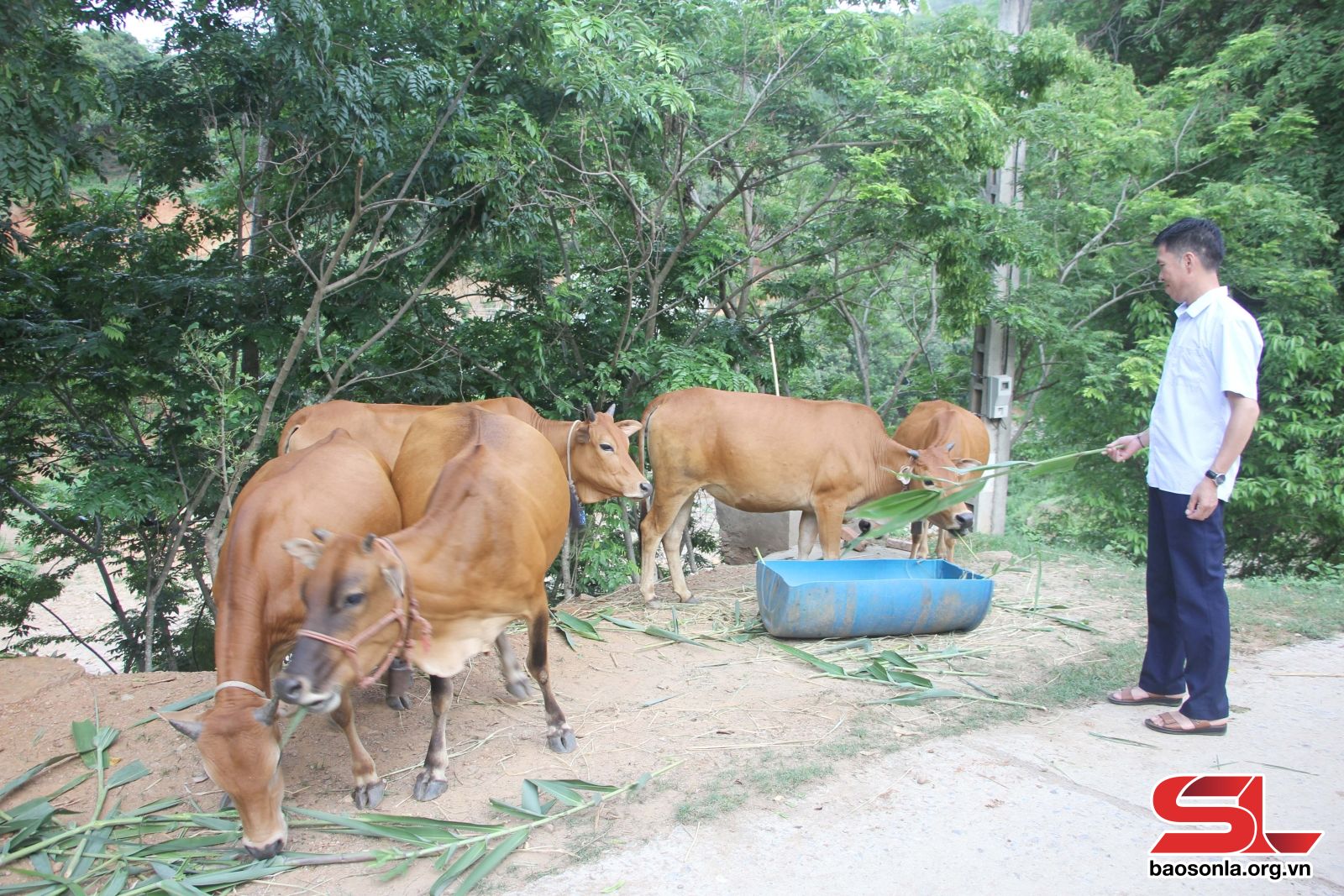 Sơn La: Về bản Suối Tăng