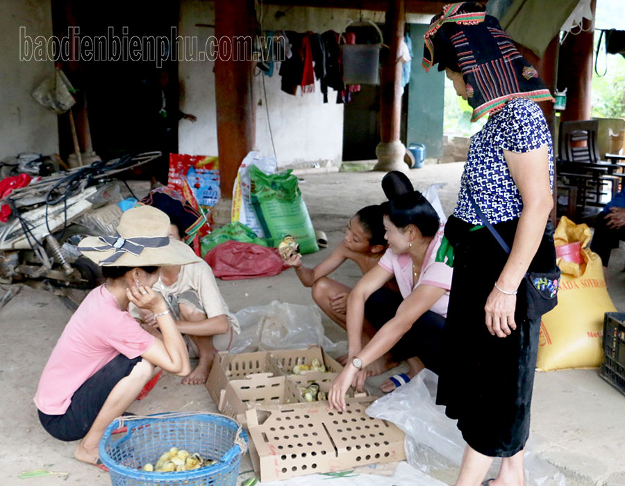 Điện Biên: Bất cập trong triển khai các chương trình mục tiêu quốc gia