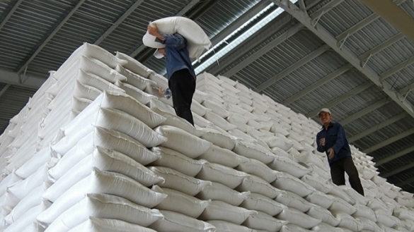 Cung ứng gạo dự trữ quốc gia năm 2023: “Ngồi trên đống lửa” vì trúng thầu