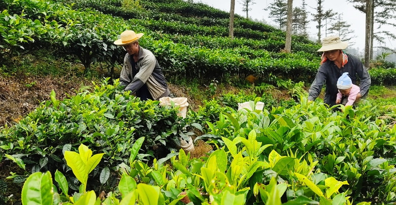 Lào Cai huy động trên 10 nghìn 579 tỷ đồng thực hiện 3 Chương trình mục tiêu quốc gia Lào Cai huy động trên 10 nghìn 579 tỷ đồng thực hiện 3 Chương trình mục tiêu quốc gia