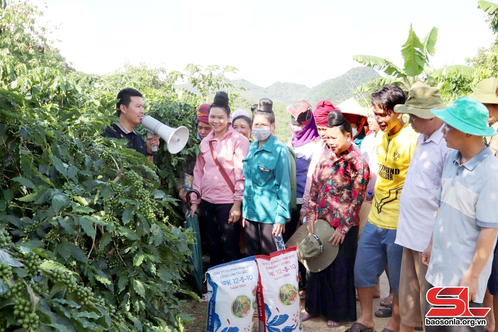 Sơn La: Đồng hành cùng nông dân thêm những mùa vàng - Sơn La: Đồng hành cùng nông dân thêm những mùa vàng -