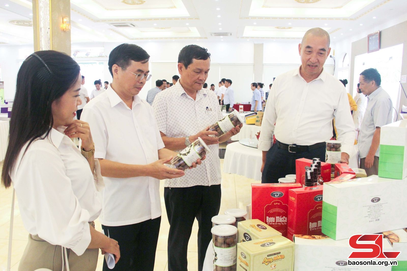 Xây dựng nhãn hiệu “Mắc ca Sơn La” - Xây dựng nhãn hiệu “Mắc ca Sơn La” -