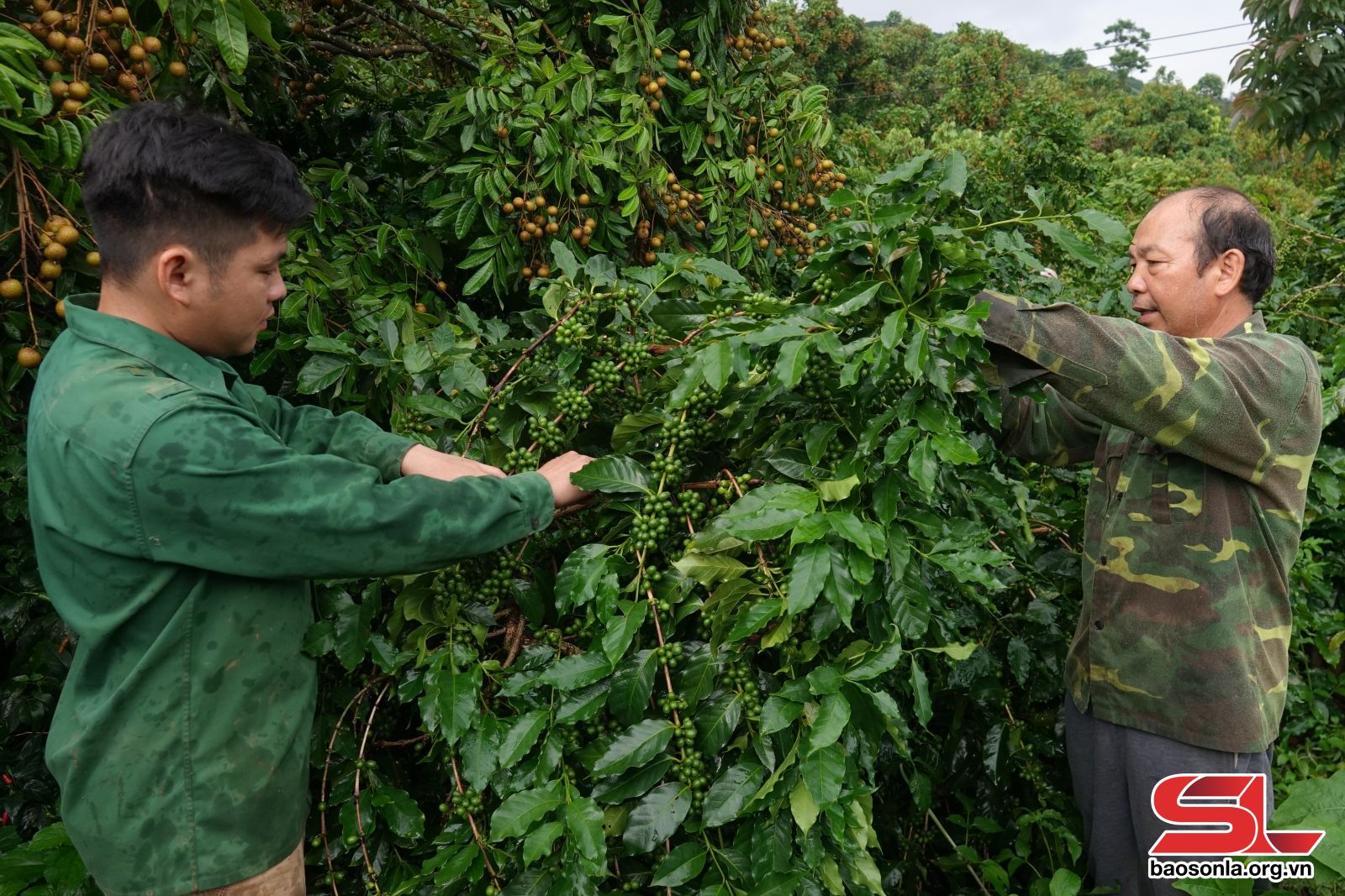 Về quê hương cách mạng Mường Chanh -