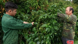 Sơn La: Về quê hương cách mạng Mường Chanh