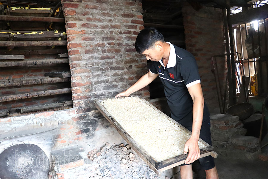 Điện Biên: Long nhãn giá thấp, giảm thu