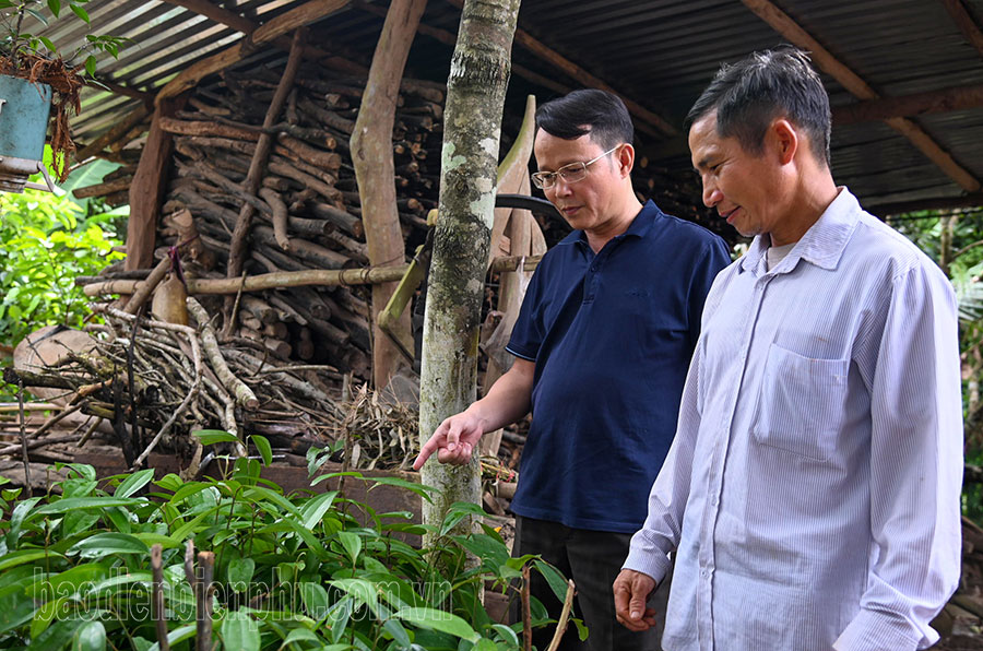 Điện Biên: Nậm Vì vượt khó