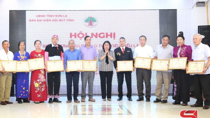 Biểu dương 48 người cao tuổi tiêu biểu làm kinh tế giỏi  -