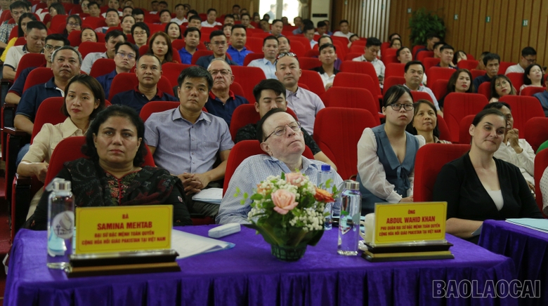 Lào Cai: Phát triển bền vững ngành hàng quế Lào Cai: Phát triển bền vững ngành hàng quế