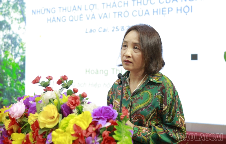 Lào Cai: Phát triển bền vững ngành hàng quế Lào Cai: Phát triển bền vững ngành hàng quế