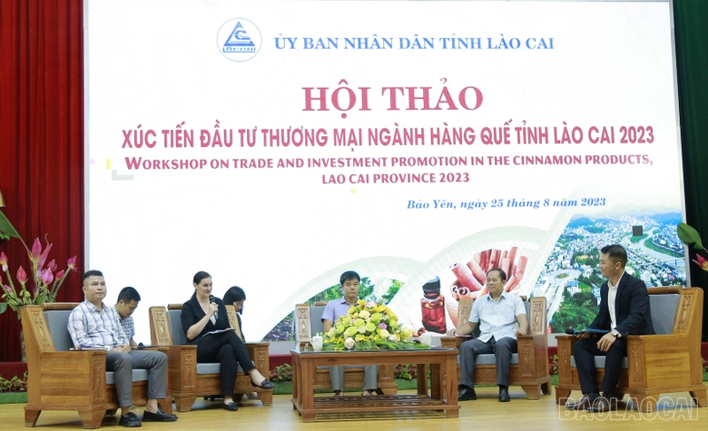 Lào Cai: Phát triển bền vững ngành hàng quế Lào Cai: Phát triển bền vững ngành hàng quế