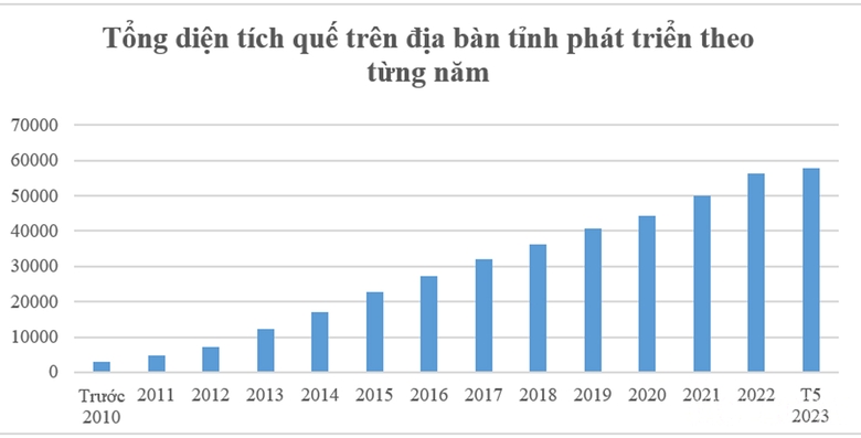 Lào Cai: Phát triển bền vững ngành hàng quế Lào Cai: Phát triển bền vững ngành hàng quế