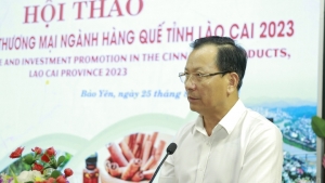 Lào Cai: Phát triển bền vững ngành hàng quế