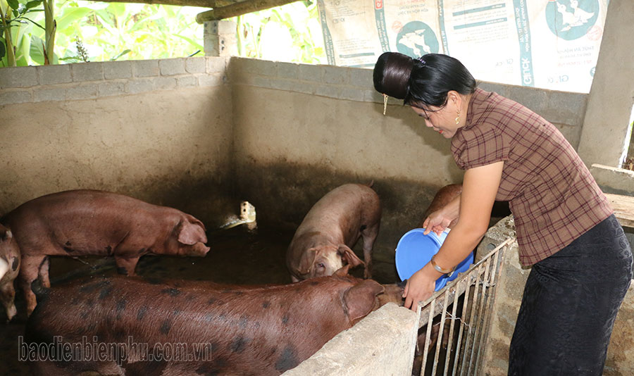 Điện Biên: Lịch Cang hôm nay