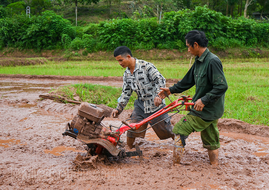 Điện Biên: Mường Nhé tập trung thực hiện các nhiệm vụ phát triển kinh tế