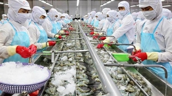 BIDV rao bán nhà máy Chế biến Thủy sản Hùng Vương Bến Tre khởi điểm 169,121 tỷ đồng