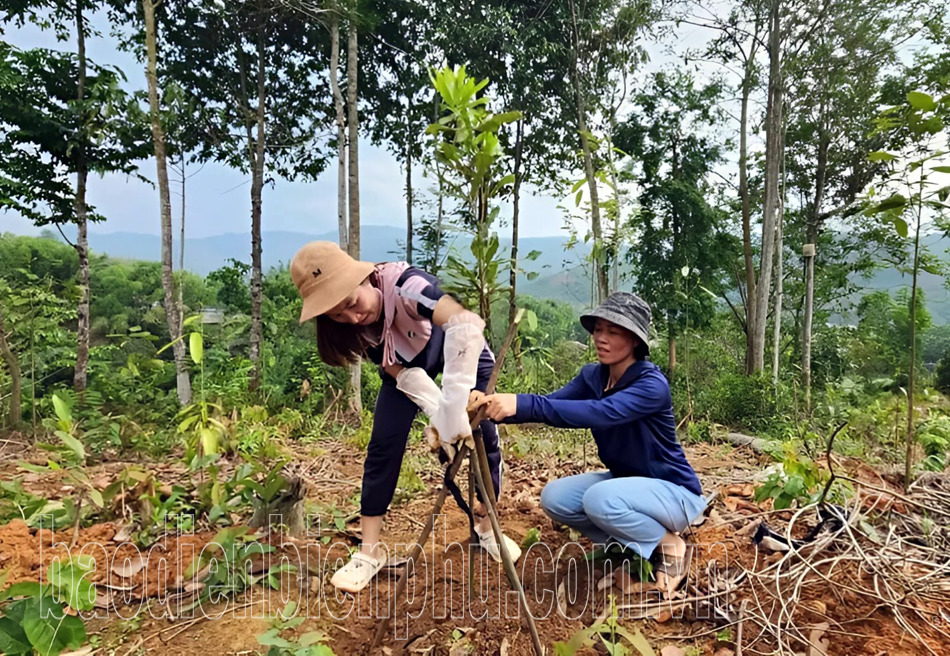 Điện Biên trên đường phát triển