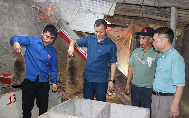 Yên Bái: Hưng Thịnh khai thác tốt tiềm năng kinh tế