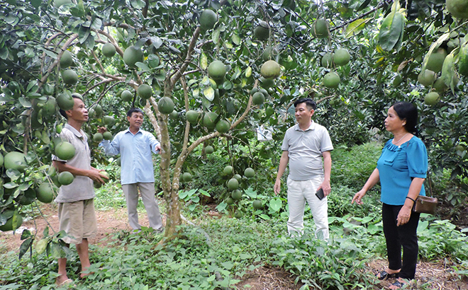 Yên Bái: Hưng Thịnh khai thác tốt tiềm năng kinh tế
