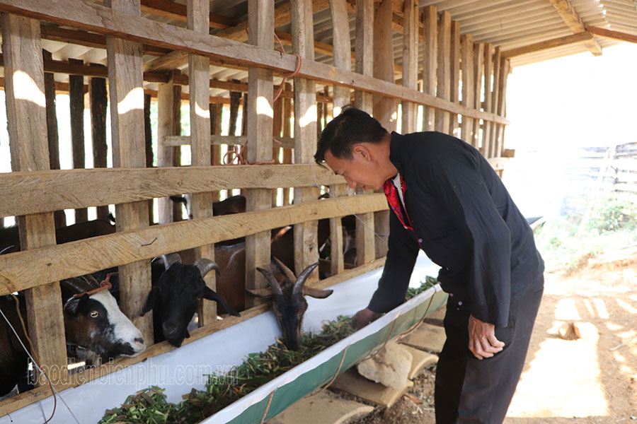 Điện Biên: Nông dân Tủa Chùa thi đua lao động sản xuất