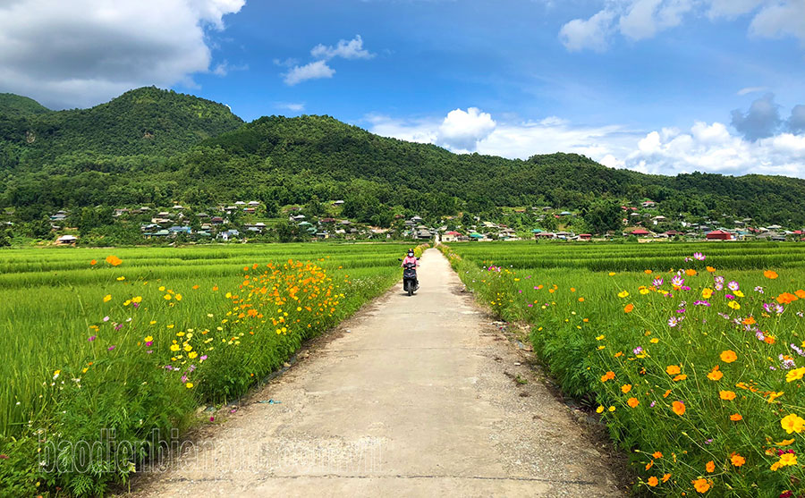 Vai trò cấp ủy trong xây dựng nông thôn mới