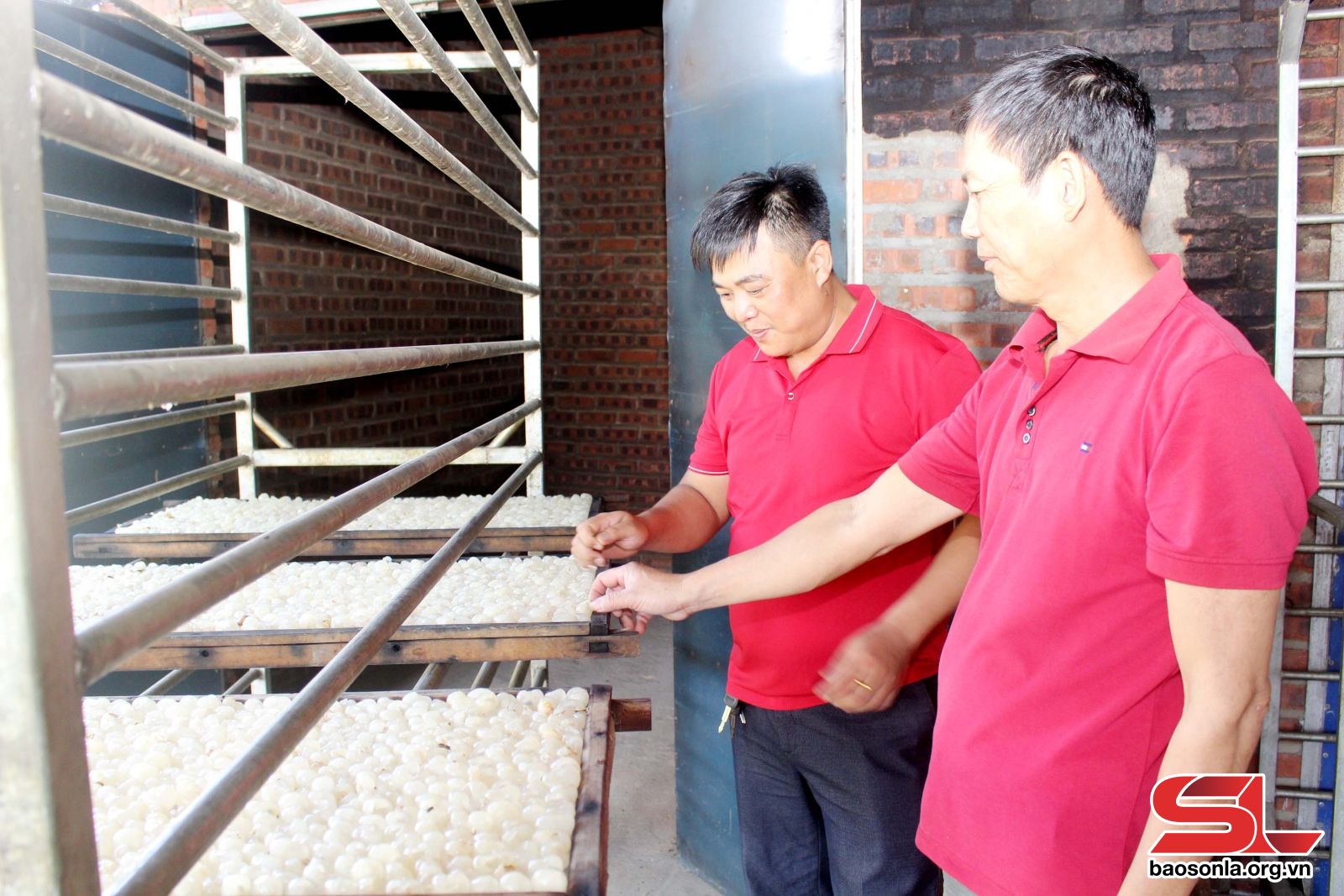 Sơn La: Sông Mã thay đổi tư duy trong lãnh đạo phát triển kinh tế nông nghiệp Sơn La: Sông Mã thay đổi tư duy trong lãnh đạo phát triển kinh tế nông nghiệp