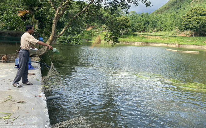 Yên Bái: Cần nhân rộng những mô hình sản xuất sạch