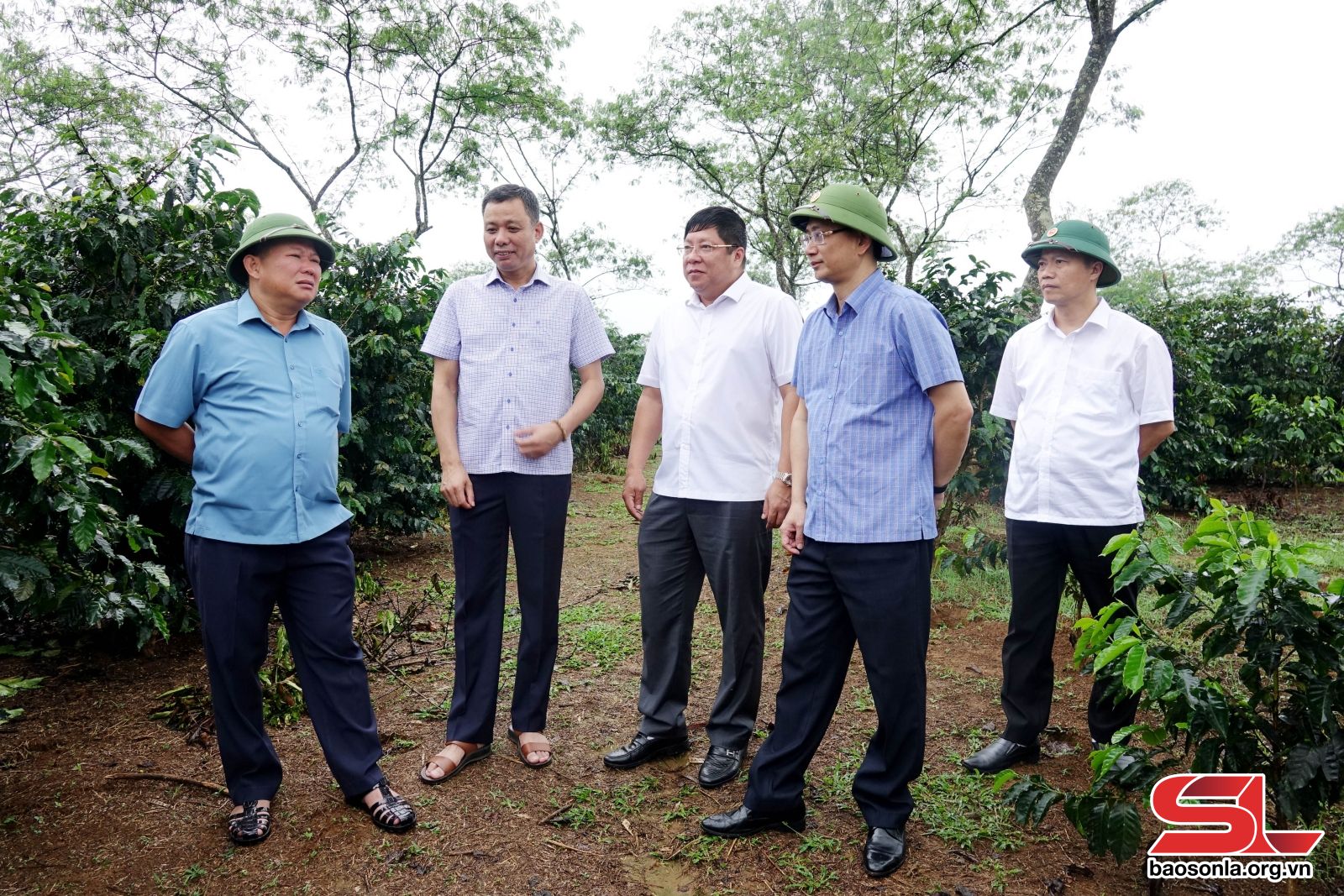 Sơn La: Khảo sát địa điểm tổ chức các hoạt động Lễ hội Cà phê Sơn La lần thứ nhất, năm 2023 - Sơn La: Khảo sát địa điểm tổ chức các hoạt động Lễ hội Cà phê Sơn La lần thứ nhất, năm 2023 -