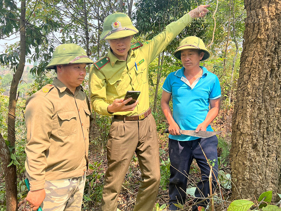 Điện Biên: Ứng dụng công nghệ trong quản lý, bảo vệ rừng