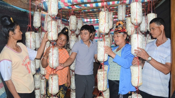 Điện Biên: Tuần Giáo đẩy nhanh tiến độ thực hiện các chương trình mục tiêu quốc gia