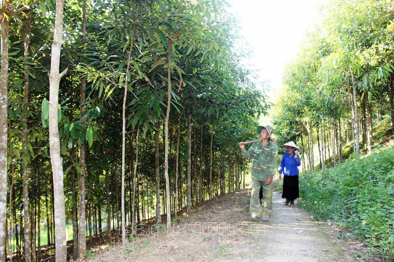 Lai Châu: Giải pháp “giữ chân” nhà đầu tư