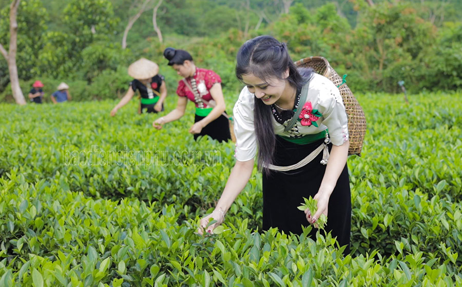 Điện BiênTiềm năng phát triển du lịch sinh thái Điện BiênTiềm năng phát triển du lịch sinh thái