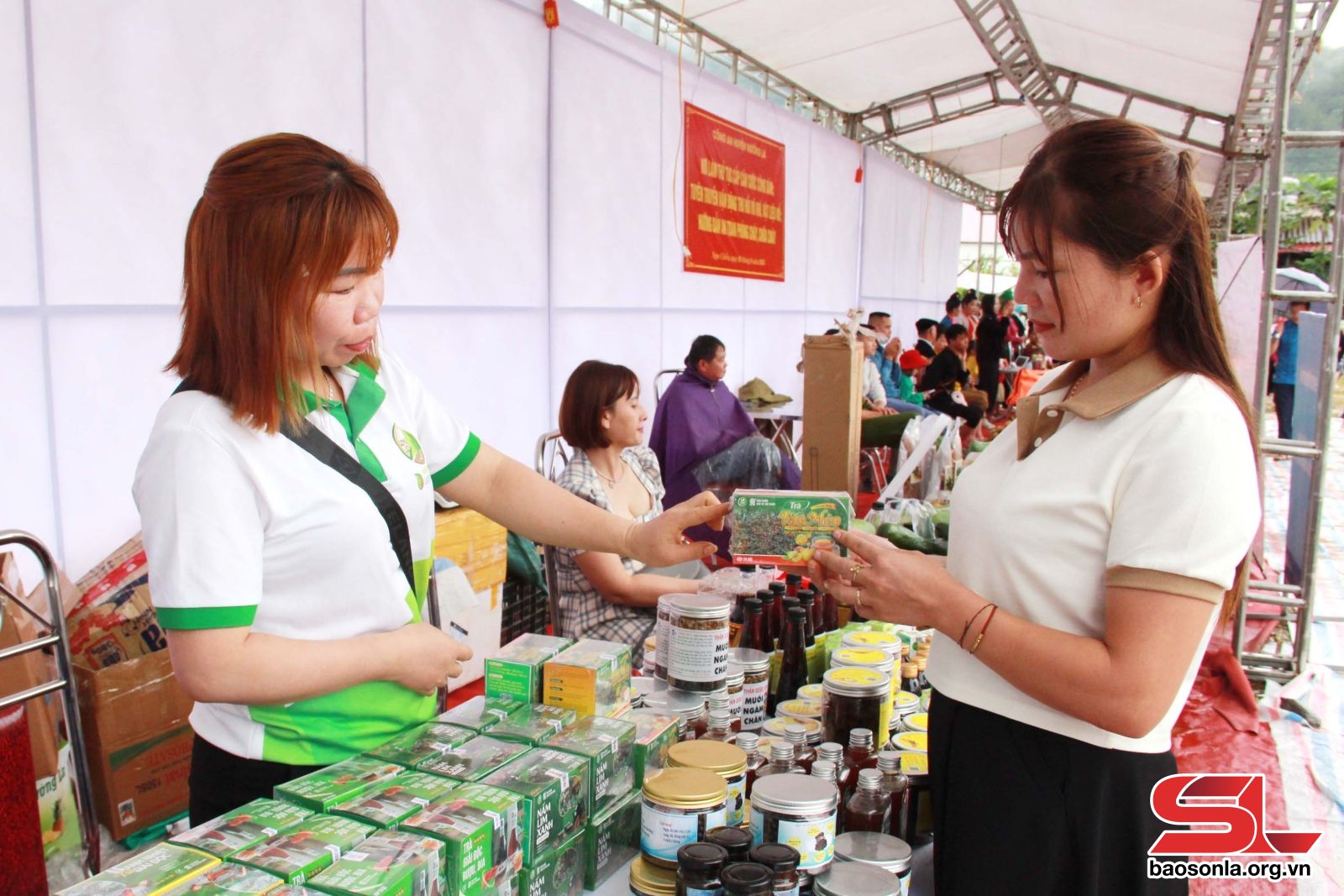 Sơn La: Giải pháp tìm đầu ra cho quả sơn tra Sơn La: Giải pháp tìm đầu ra cho quả sơn tra