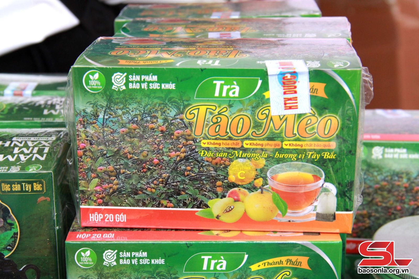 Sơn La: Giải pháp tìm đầu ra cho quả sơn tra Sơn La: Giải pháp tìm đầu ra cho quả sơn tra