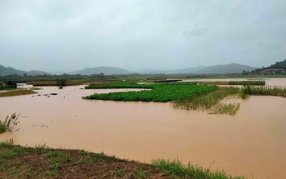 Yên Bái: Văn Yên tập trung di dời dân vùng nguy cơ cao đến nơi an toàn Yên Bái: Văn Yên tập trung di dời dân vùng nguy cơ cao đến nơi an toàn