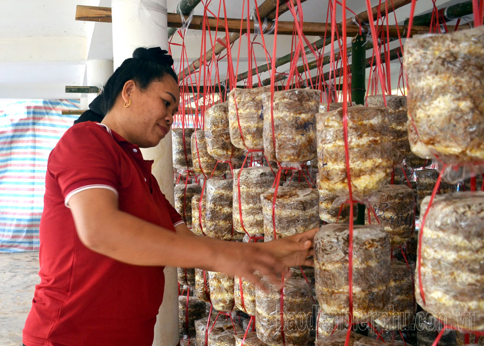 Điện Biên: Quan tâm đào tạo nghề cho người lao động