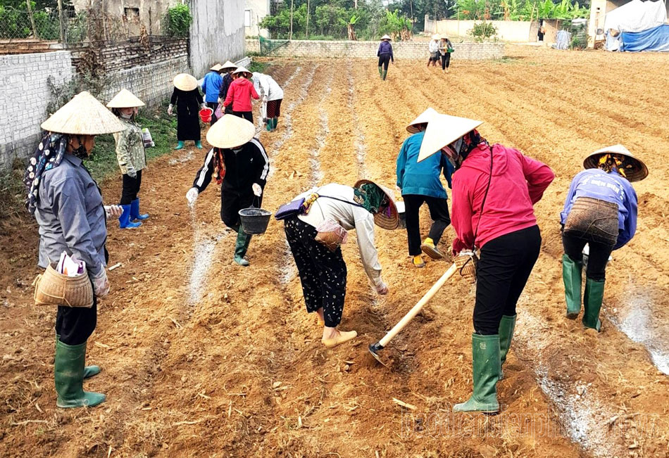 Điện Biên: Quan tâm đào tạo nghề cho người lao động