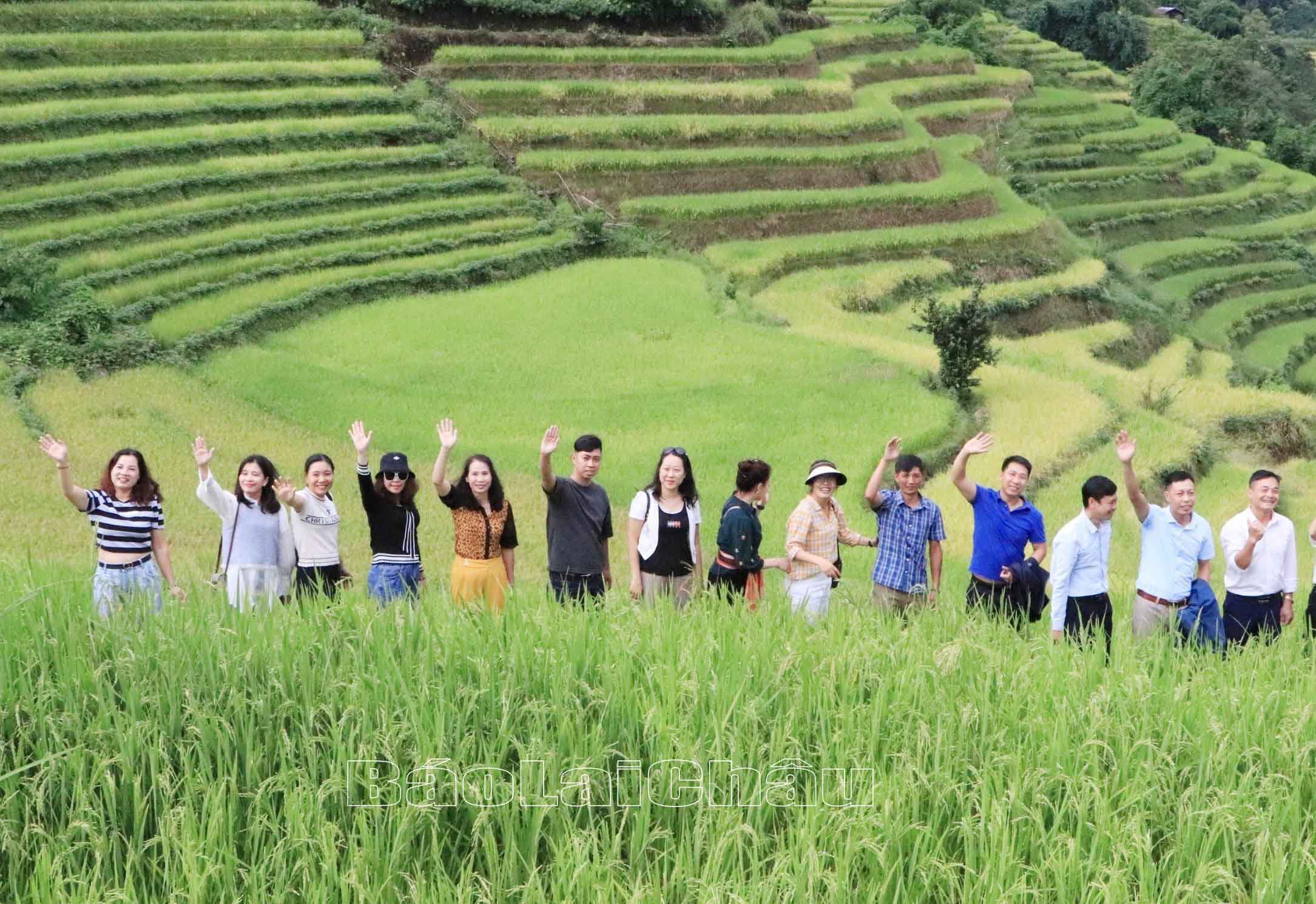 Lai Châu: Triển vọng phát triển du lịch từ ruộng bậc thang