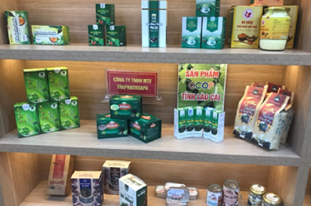 Lào Cai: Tổ chức 22 hội chợ, triển lãm thương mại trong năm 2024