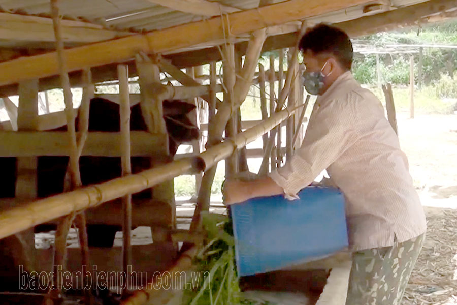 Điện Biên: Tạo sinh kế cho đồng bào dân tộc thiểu số Điện Biên: Tạo sinh kế cho đồng bào dân tộc thiểu số