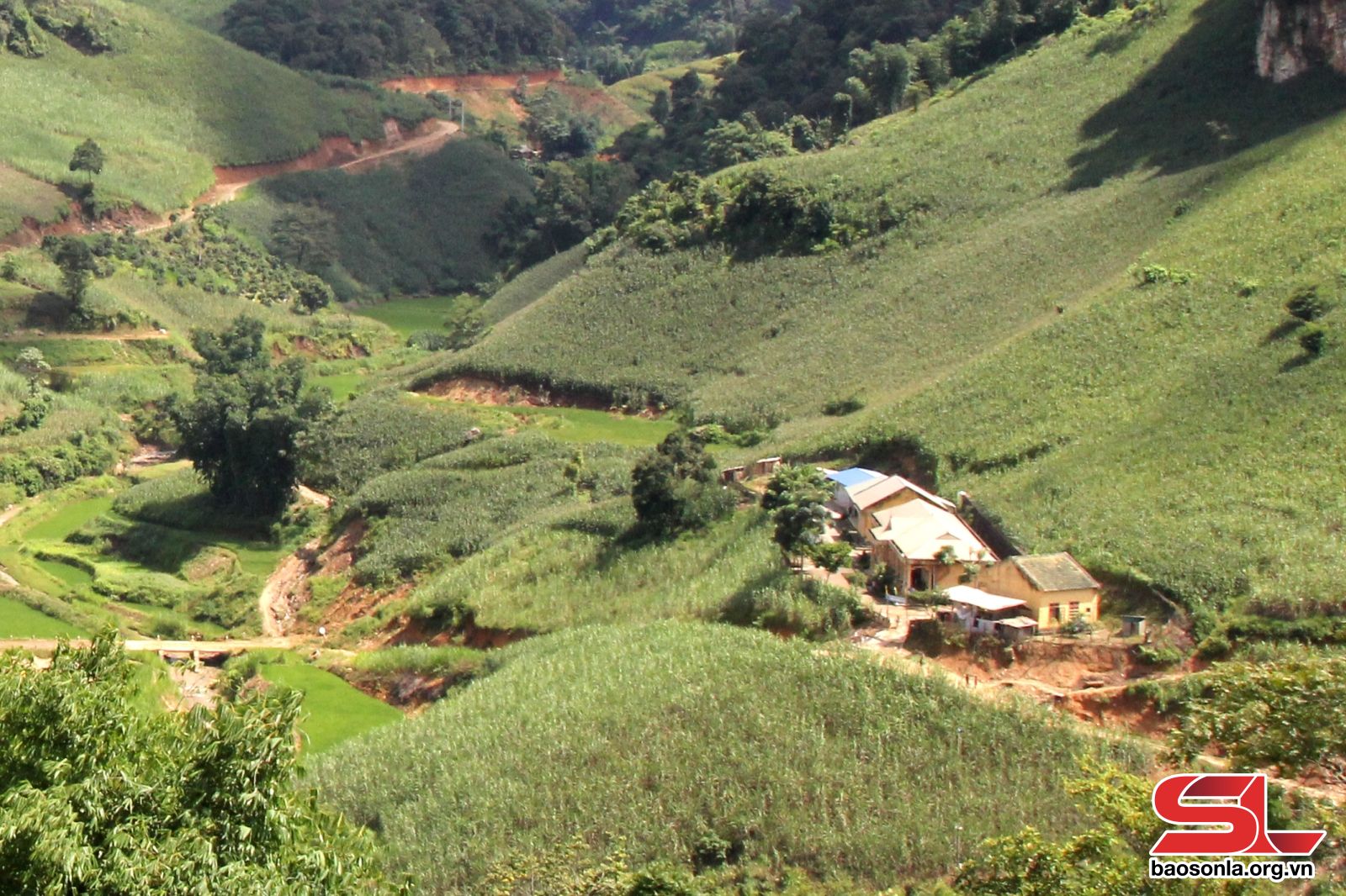 Sơn La: Gieo chữ nơi vùng cao Ta Vắt Sơn La: Gieo chữ nơi vùng cao Ta Vắt