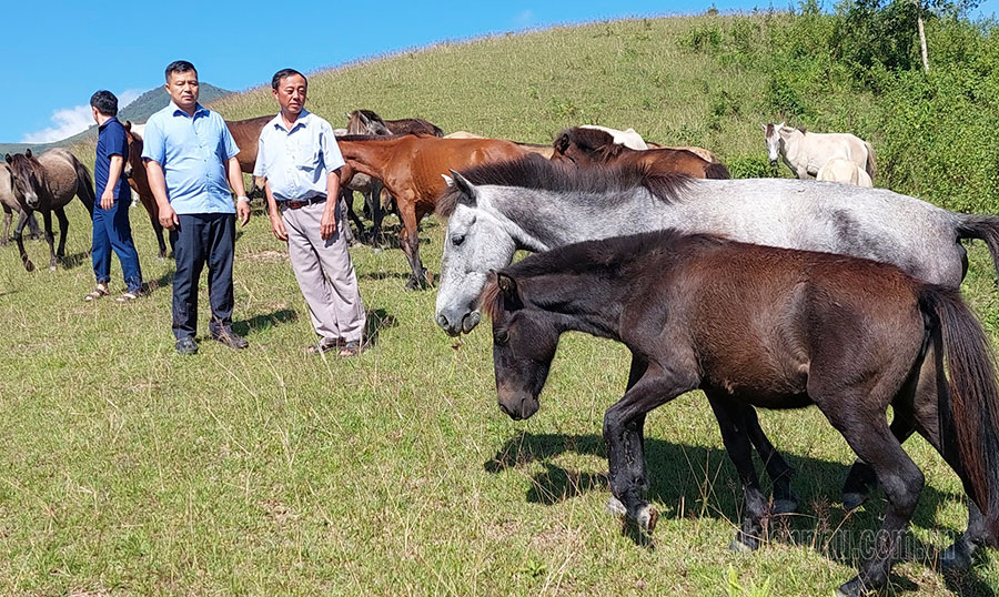 Điện Biên: Vó ngựa Phìn Hồ Điện Biên: Vó ngựa Phìn Hồ